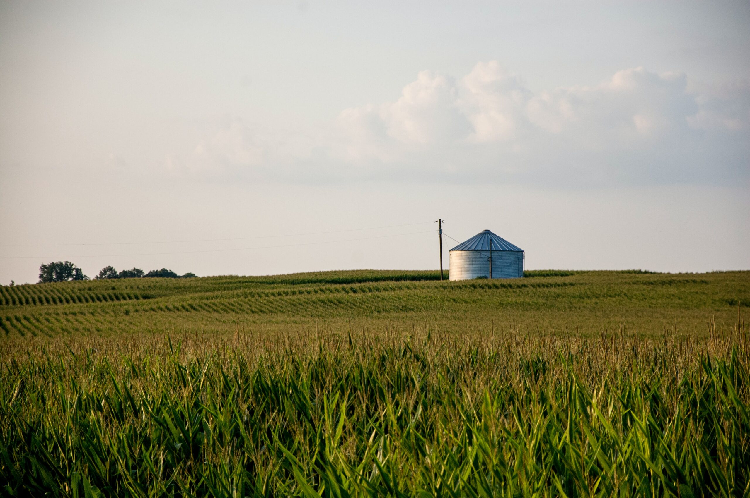A field and silo in Kentucky - Joshua Michaels for Unsplash