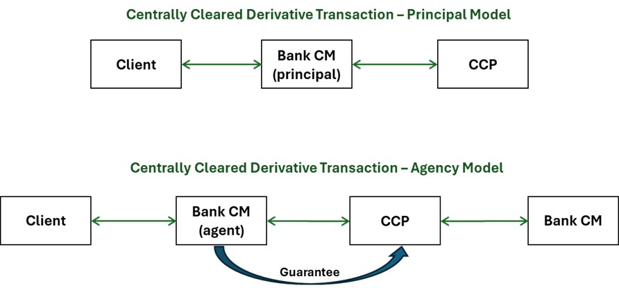 Figure A1. Depiction of central clearing agency vs principal model.
